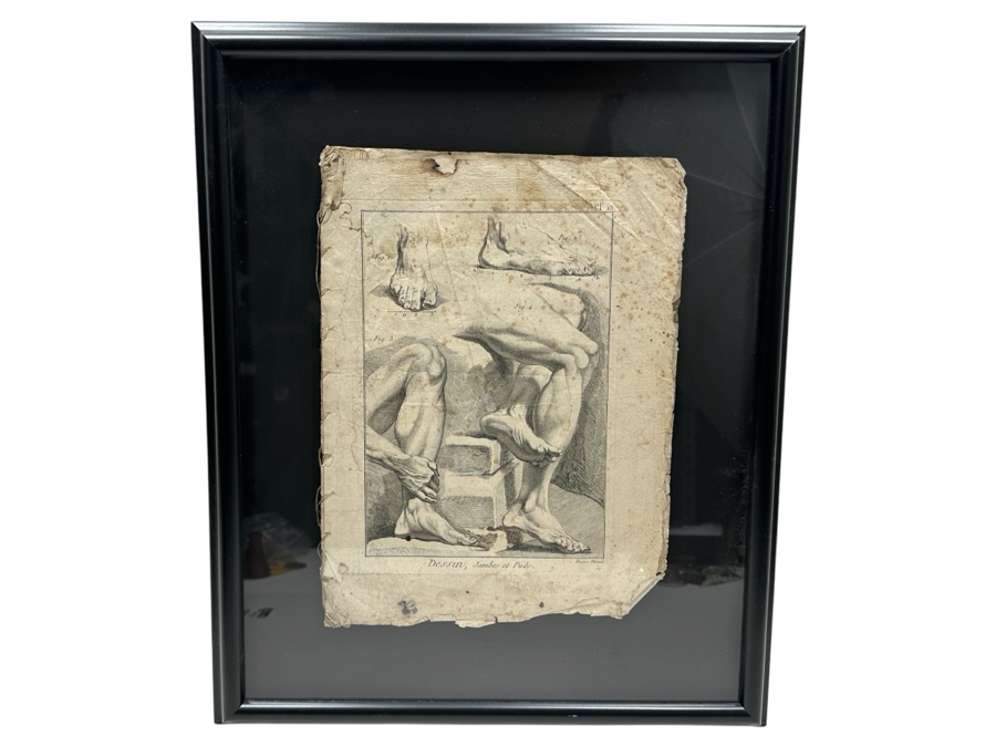 Framed Original Antique Engraving From Diderot - Design: Legs, Feet Plate 13 Encyclopedie Ou Dictionnaire Folio Framed 15 X 18.5 [Photo 2]