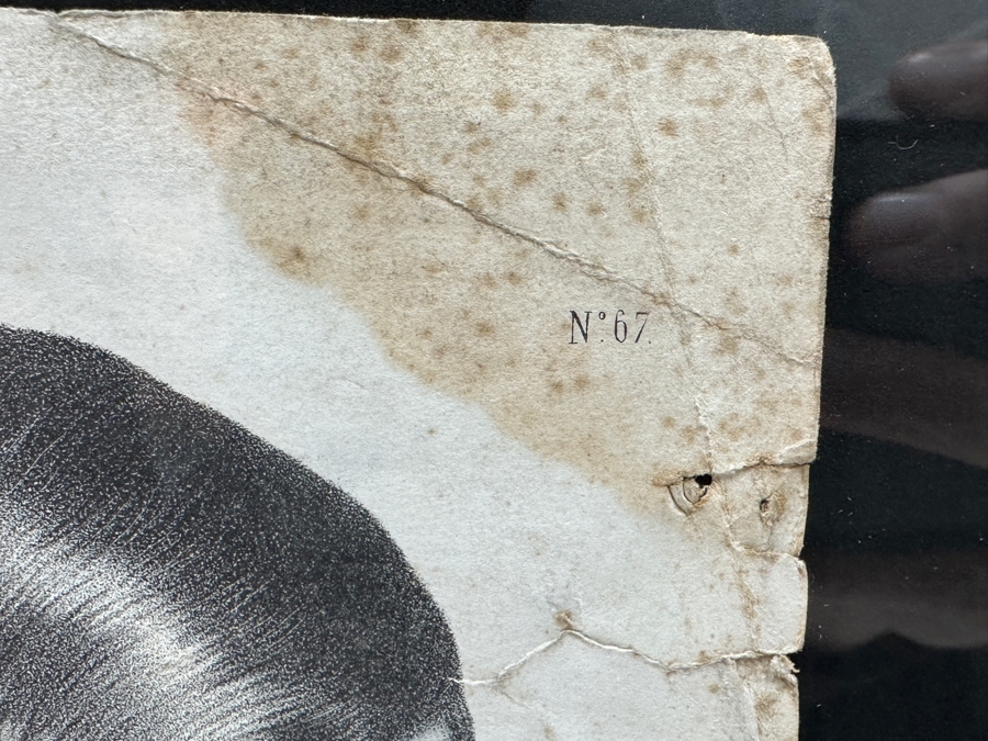 Framed Original Antique Engraving Elementary Course 67 Sketch Study Of A Woman 20 X 16 [Photo 5]