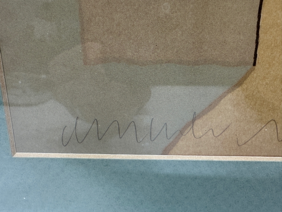 Hand Signed Amado Maurilio Pena Jr White Buffalo Gallery Poster Framed 20 X 22 [Photo 3]