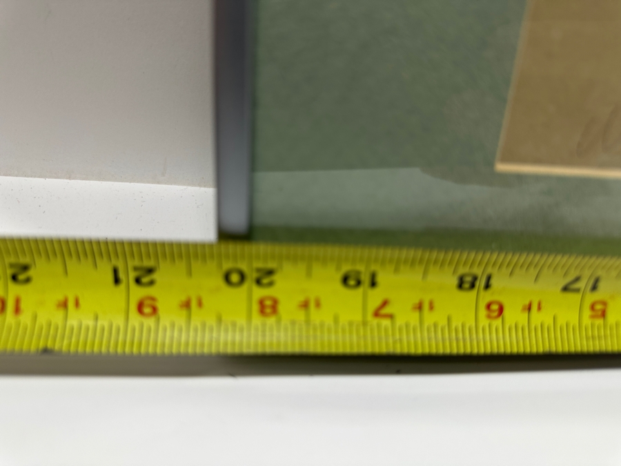 Hand Signed Amado Maurilio Pena Jr White Buffalo Gallery Poster Framed 20 X 22 [Photo 7]