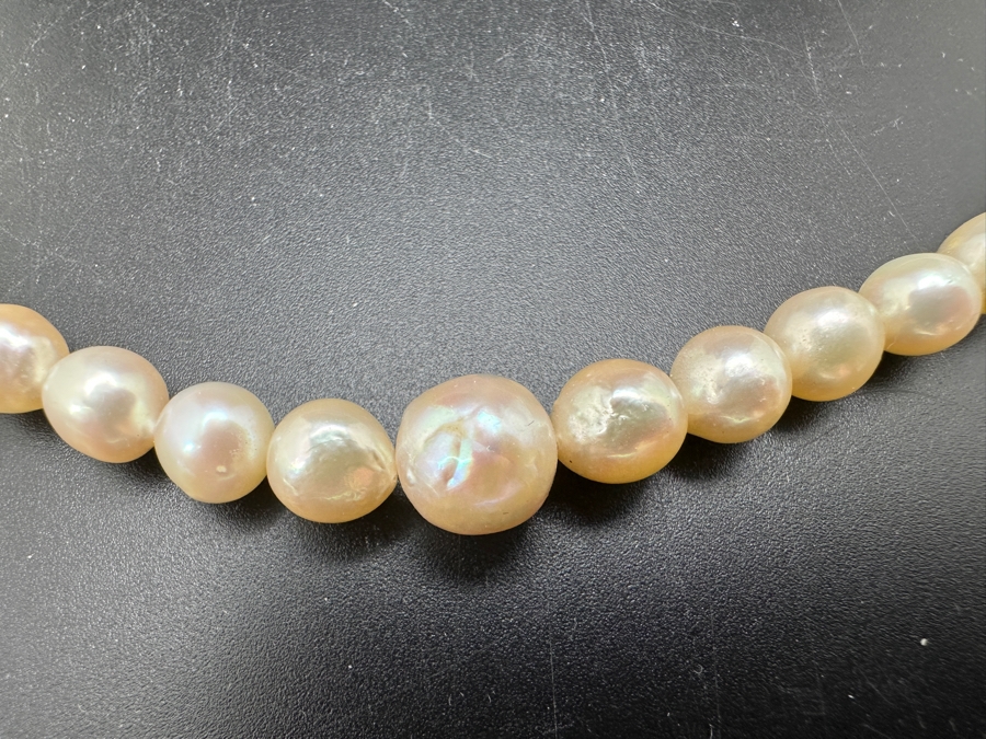 19' Pearl Necklace With 14K Gold Clasp [Photo 3]