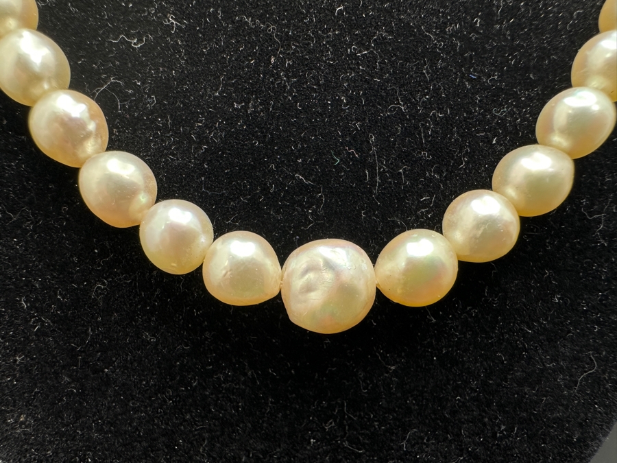 19' Pearl Necklace With 14K Gold Clasp [Photo 2]