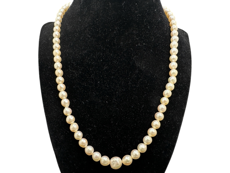 19' Pearl Necklace With 14K Gold Clasp