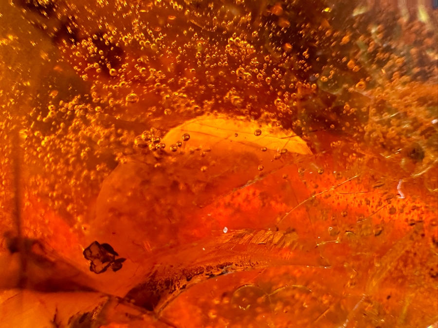 Large Chunk Of Organic Amber Weighs 198.3g [Photo 8]