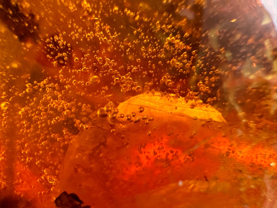Large Chunk Of Organic Amber Weighs 198.3g [Photo 9]