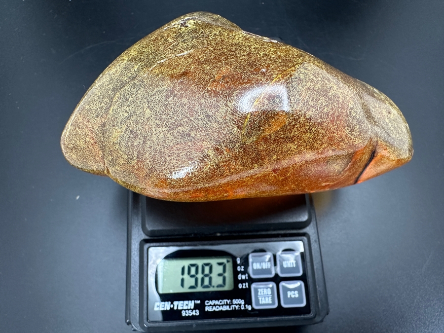Large Chunk Of Organic Amber Weighs 198.3g [Photo 10]