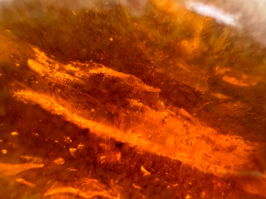 Large Chunk Of Organic Amber Weighs 198.3g [Photo 6]