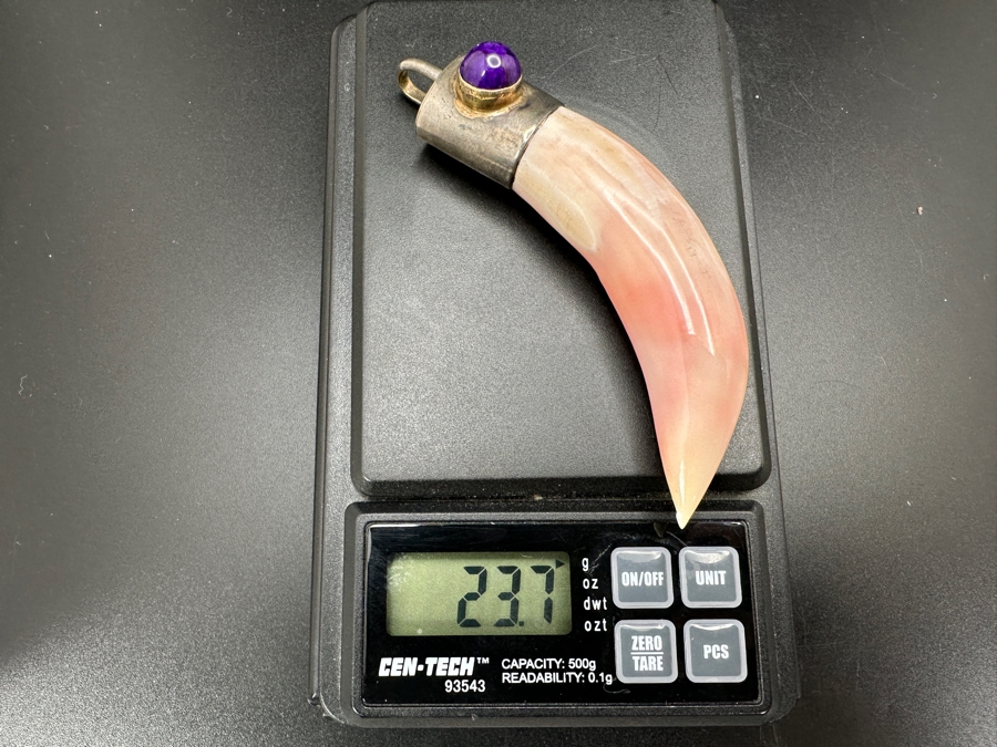 Vintage Organic Tooth / Claw With Sterling Silver Bale Pendant 3'L 23.7g [Photo 6]