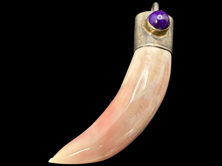 Vintage Organic Tooth / Claw With Sterling Silver Bale Pendant 3'L 23.7g