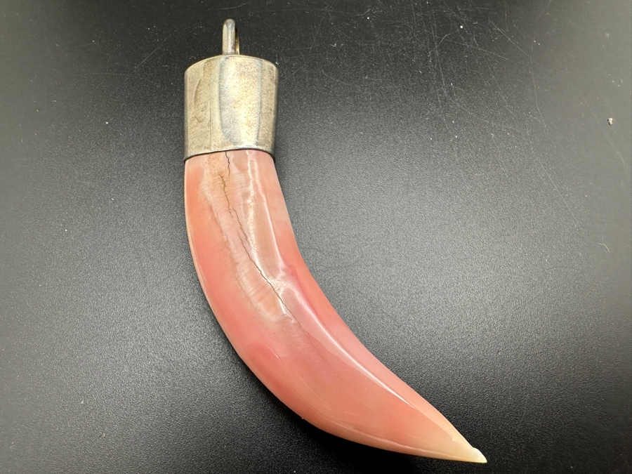 Vintage Organic Tooth / Claw With Sterling Silver Bale Pendant 3'L 23.7g [Photo 4]