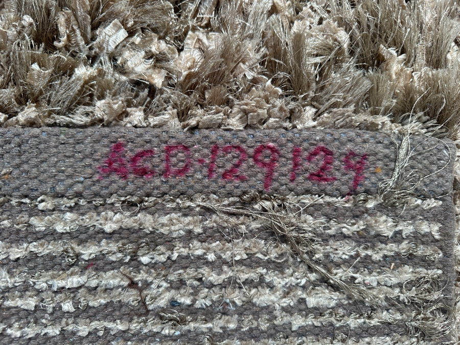 Light Brown Shag Area Rug 63 X 86 [Photo 3]