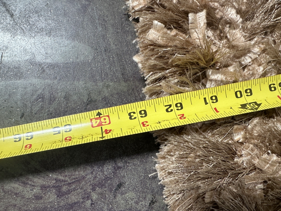 Light Brown Shag Area Rug 63 X 86 [Photo 4]
