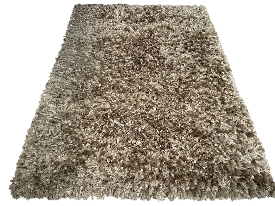 Light Brown Shag Area Rug 63 X 86 [Photo 1]