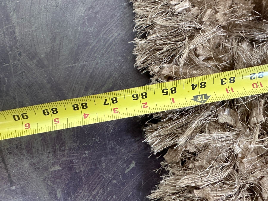 Light Brown Shag Area Rug 63 X 86 [Photo 5]