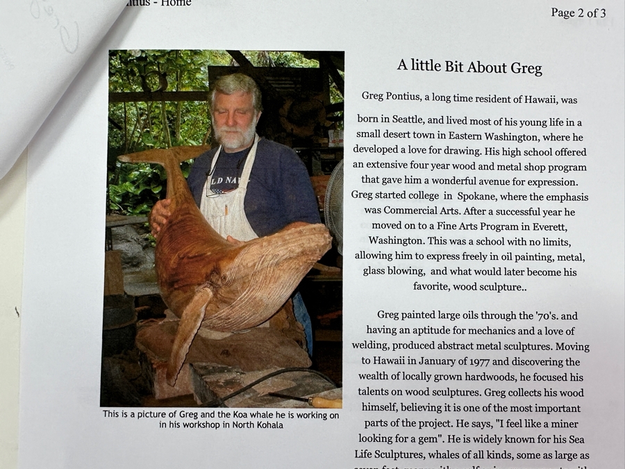 Greg Pontius (B. 1945, American) Incredible Life-size Carved Wooden Sea Turtle Milo Turtle From Hawaii 30'W X 17'D X 7'H [Photo 27]