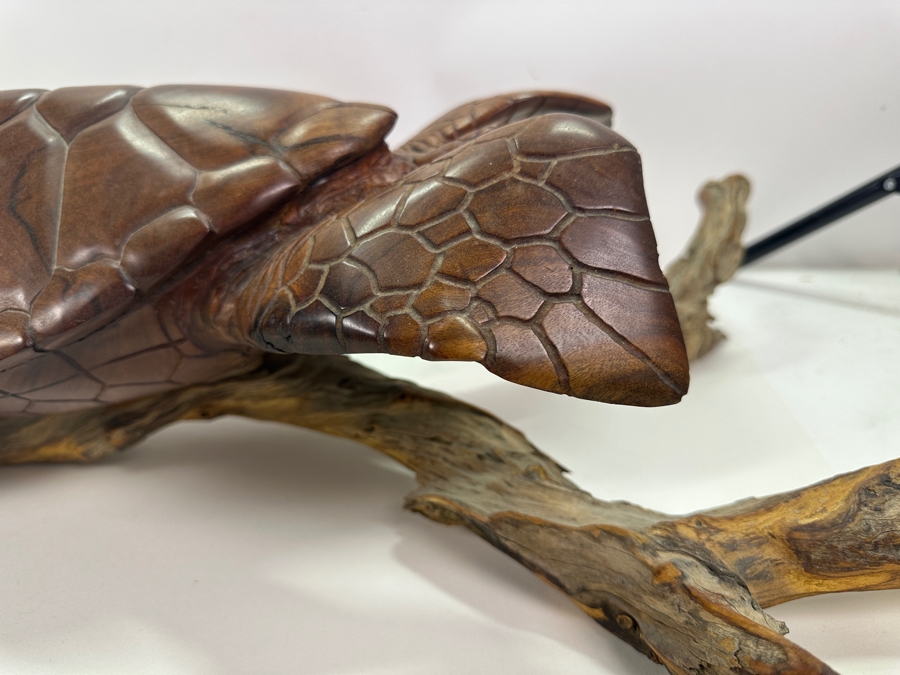 Greg Pontius (B. 1945, American) Incredible Life-size Carved Wooden Sea Turtle Milo Turtle From Hawaii 30'W X 17'D X 7'H [Photo 21]