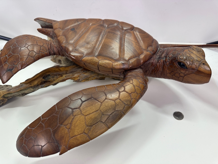 Greg Pontius (B. 1945, American) Incredible Life-size Carved Wooden Sea Turtle Milo Turtle From Hawaii 30'W X 17'D X 7'H [Photo 7]
