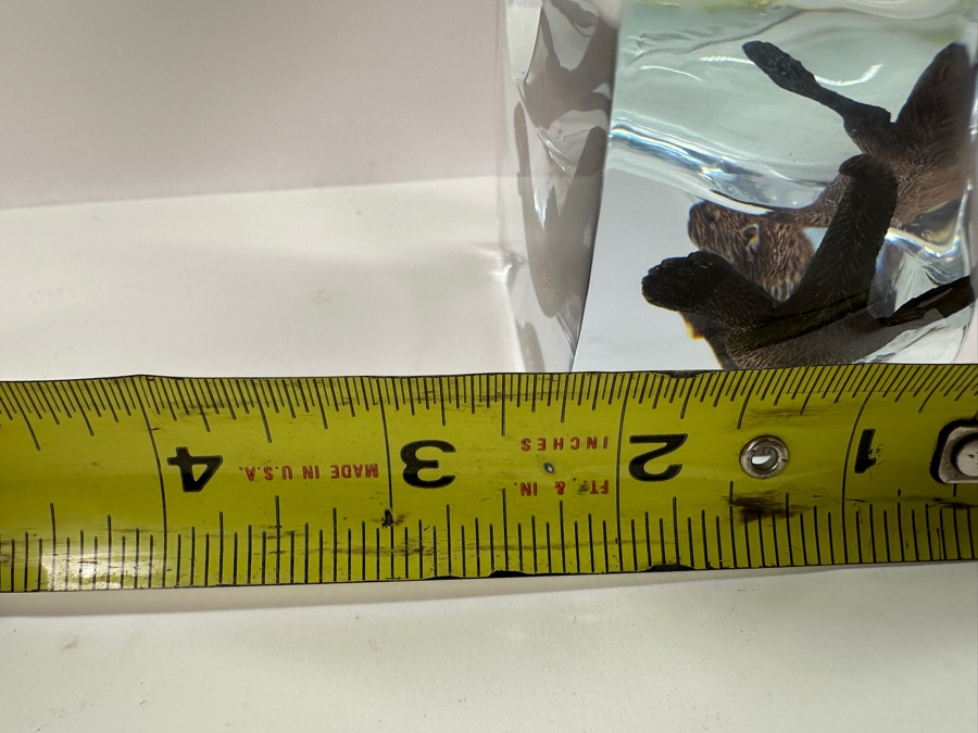 Robert Wyland (B. 1956, American) Lucite And Patinated Metal Sea Otter Sculpture Signed Wyland And Numbered 427 Of 2,000 4.5W X 2.25D X 9H [Photo 12]