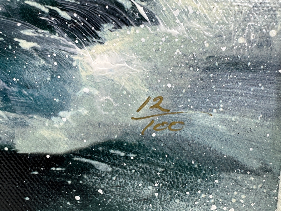 Clint Sloan Hand Signed Limited Edition Giclee Print Titled 'Spirit Of Pele' Numbered 12 Of 100 Dated 2000 10 X 25 Framed With C.O.A. [Photo 7]