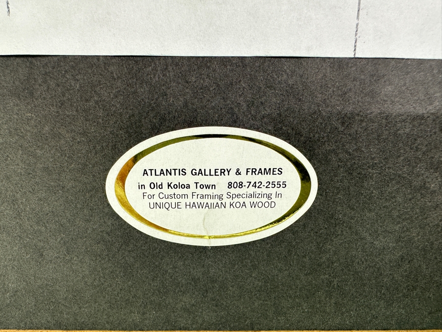 Christian Riso Original Oil Painting Of A Bird Kauai 2004 12 X 7 Shadowbox Framed 26 X 21 [Photo 15]