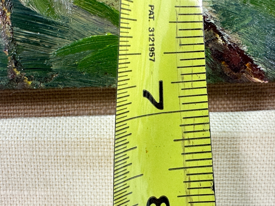 Christian Riso Original Oil Painting Of A Bird Kauai 2004 12 X 7 Shadowbox Framed 26 X 21 [Photo 9]