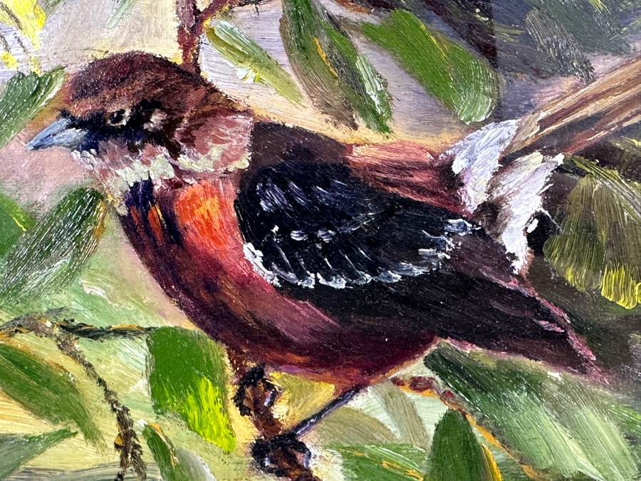 Christian Riso Original Oil Painting Of A Bird Kauai 2004 12 X 7 Shadowbox Framed 26 X 21 [Photo 5]