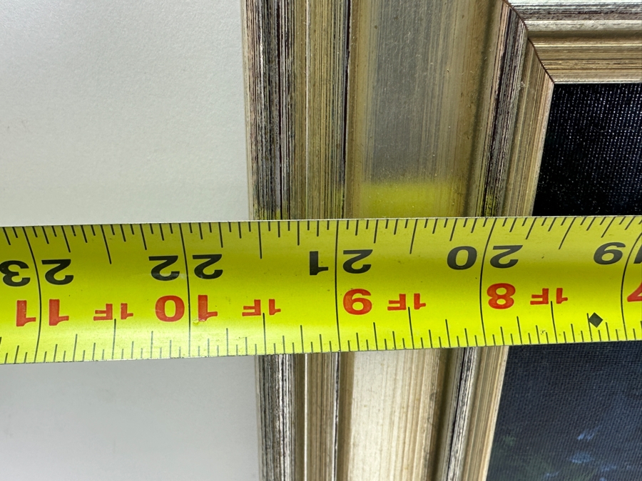 James Coleman (B. 1949, California/Hawaii) Original Oil Painting On Canvas With Certificate Of Authenticity (Former Disney Animated Film Artist) 18 X 14 Framed 21.5 X 17.5 [Photo 13]