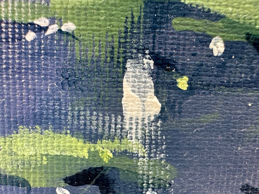 James Coleman (B. 1949, California/Hawaii) Original Oil Painting On Canvas With Certificate Of Authenticity (Former Disney Animated Film Artist) 18 X 14 Framed 21.5 X 17.5 [Photo 10]