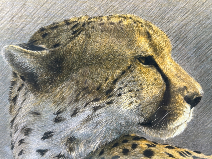 Hand Signed Limited Edition Print Titled 'Duma' By Dennis Curry Numbered 366 Of 375 With Certificate Of Authenticity19 X 12 Framed 30 X 22.5 [Photo 5]