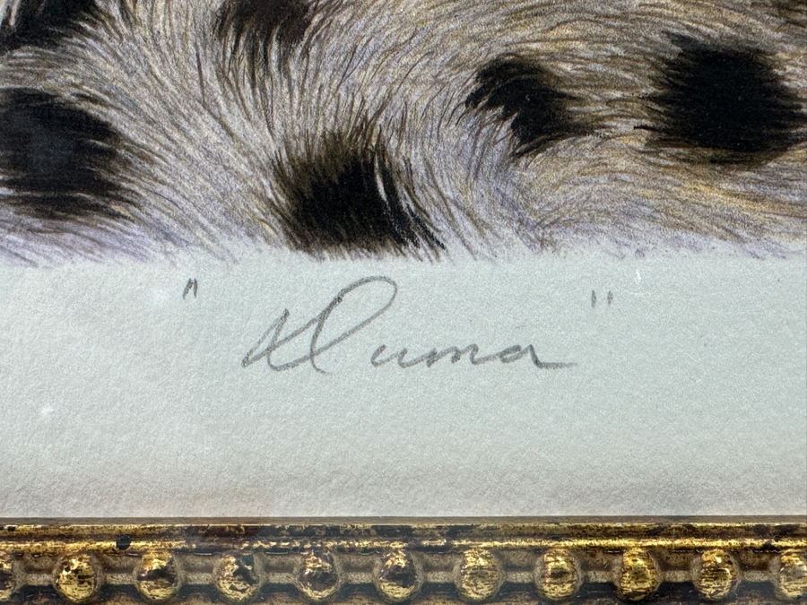 Hand Signed Limited Edition Print Titled 'Duma' By Dennis Curry Numbered 366 Of 375 With Certificate Of Authenticity19 X 12 Framed 30 X 22.5 [Photo 7]