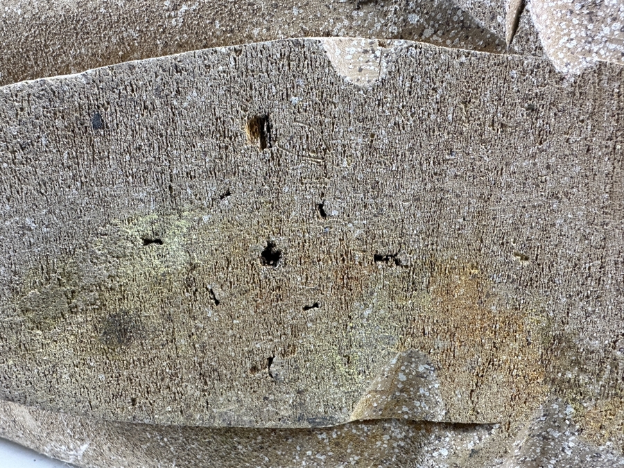 Impressive Wooden Horse Head Bust Sculpture With Sandstone Finish And Heavy Brass Ornamentation 17W X 9D X 29H [Photo 16]