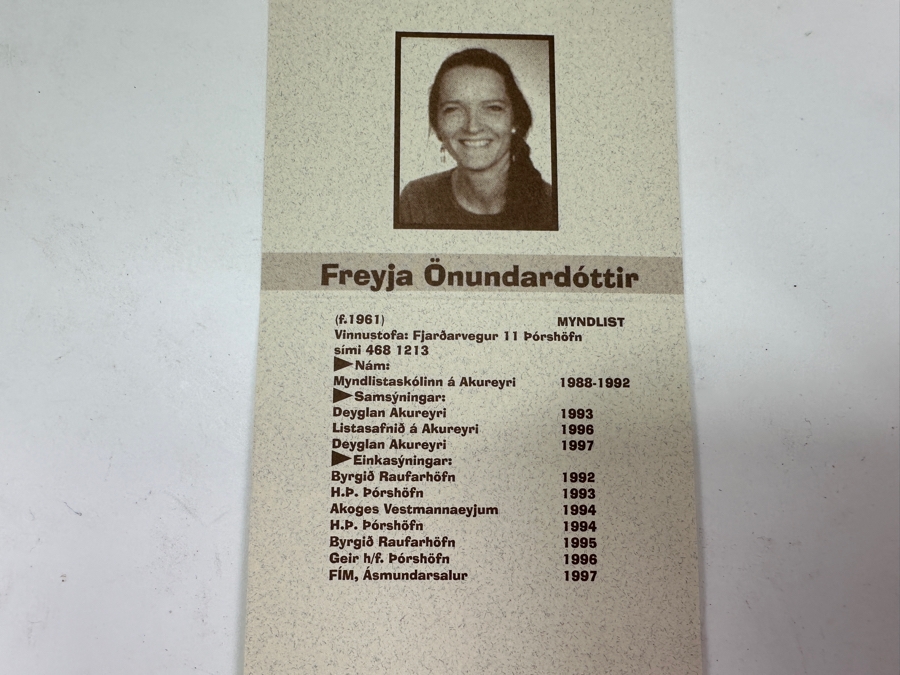 Freyja Onundardottir (Icelandic Artist) Original Oil On Canvas Of A Waterfall Signed And Dated 1999 8 X 16 Framed 9.5 X 17 [Photo 13]