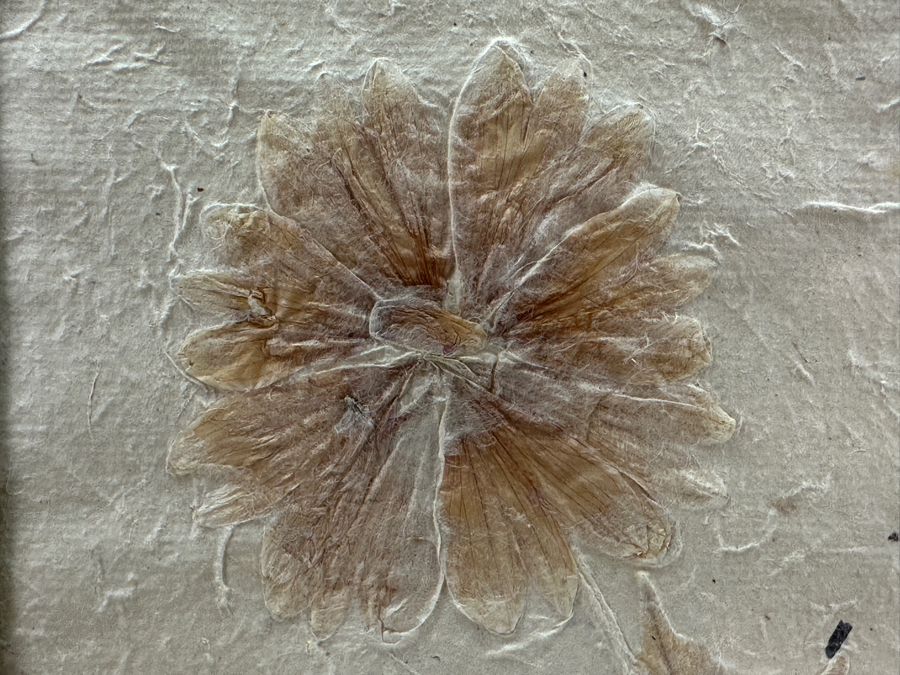 Vintage Italian Dried Pressed Flower Arrangement Framed 14.5 X 28.5 [Photo 7]