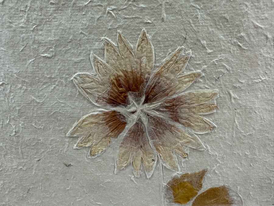 Vintage Italian Dried Pressed Flower Arrangement Framed 14.5 X 28.5 [Photo 2]