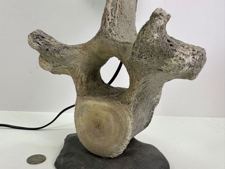 Antique Whale Vertebrae Table Lamp 24H [Photo 4]