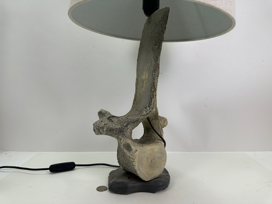 Antique Whale Vertebrae Table Lamp 24H [Photo 6]