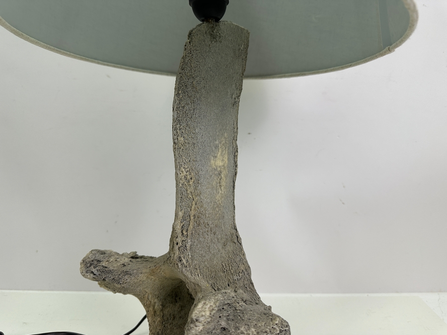 Antique Whale Vertebrae Table Lamp 24H [Photo 5]