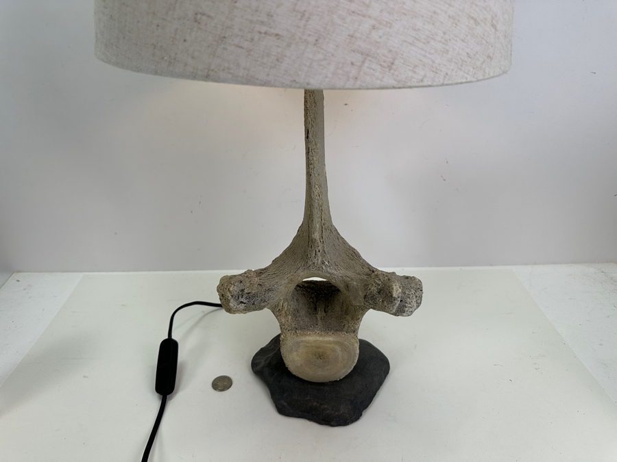 Antique Whale Vertebrae Table Lamp 24H [Photo 7]