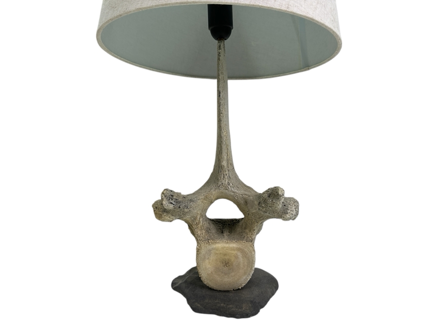 Antique Whale Vertebrae Table Lamp 24H