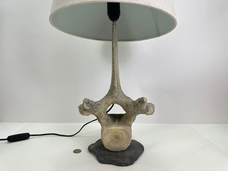 Antique Whale Vertebrae Table Lamp 24H [Photo 2]