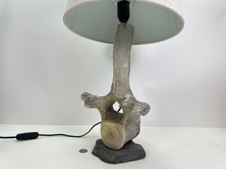 Antique Whale Vertebrae Table Lamp 24H [Photo 3]