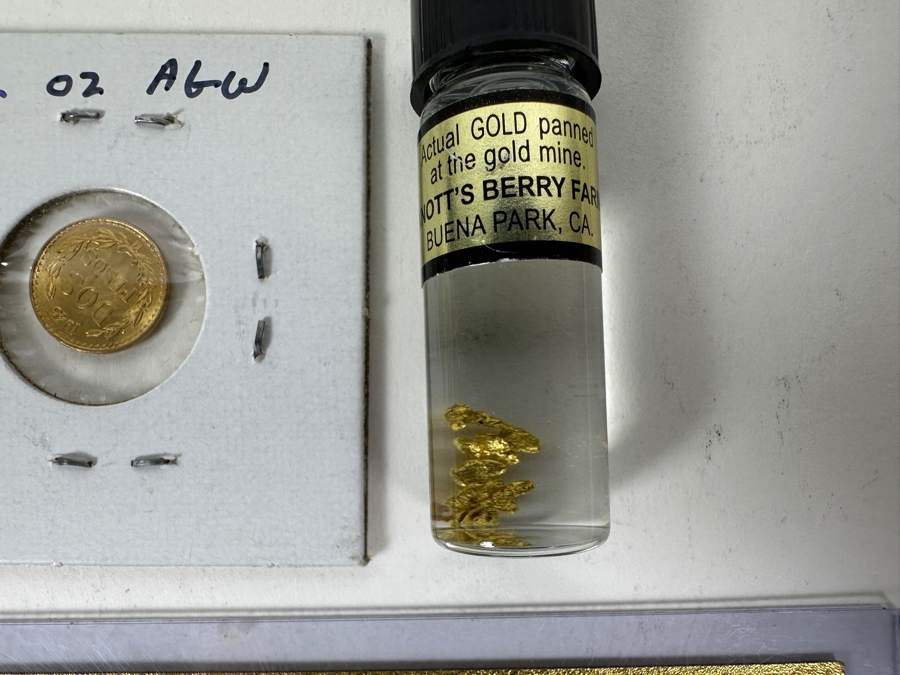 Gold Starter Kit: Mexican Gold Coin, Alaskan Gold, Knotts Berry Farm Gold, Gold Banknote  [Photo 6]