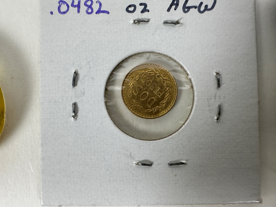 Gold Starter Kit: Mexican Gold Coin, Alaskan Gold, Knotts Berry Farm Gold, Gold Banknote  [Photo 4]