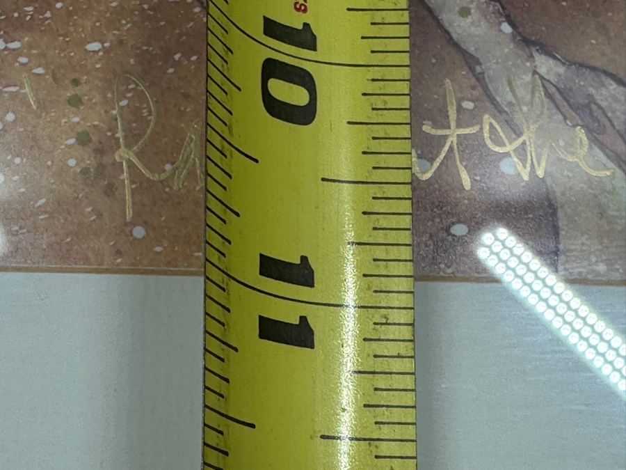 Karla Morreira Hand Signed Limited Edition Print Titled 'Raving At The Moon' 13.5 X 11 Framed 21.5 X 17.5 [Photo 10]