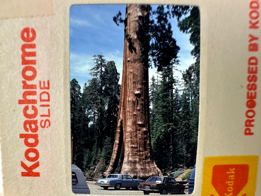 Vintage Hasselblad 500C Film Camera With Carl Zeiss Planar 1:2.8 f=80mm Lens And Carl Zeiss Synchro-Compur Sonnar 1:5.6 f=250mm Lens Plus Camera Bag And Old Film [Photo 32]