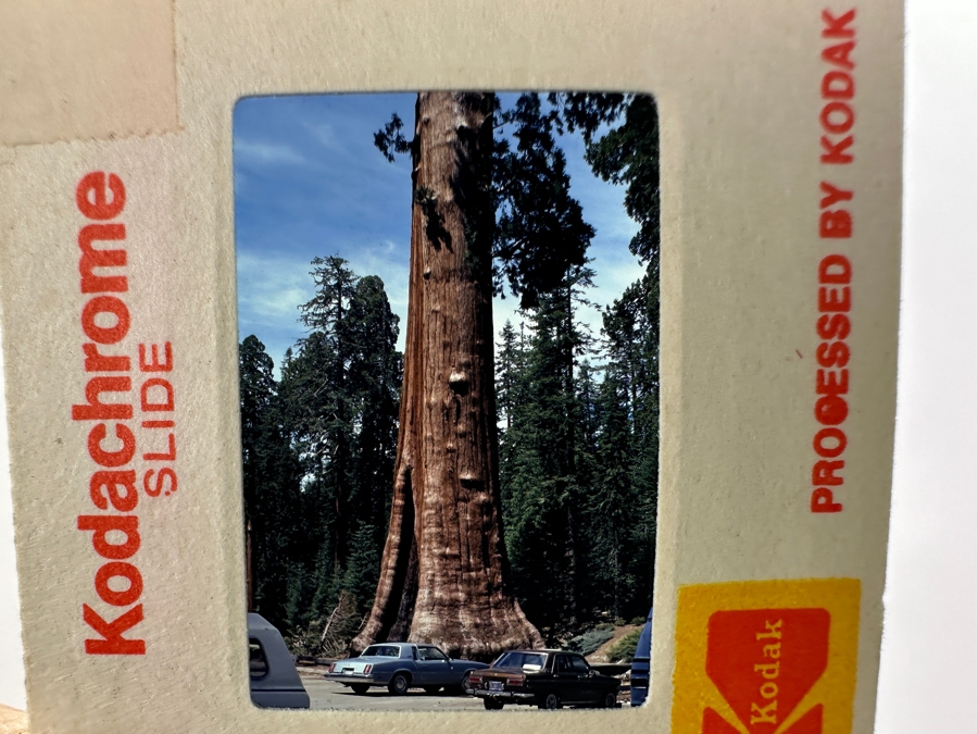 Vintage Hasselblad 500C Film Camera With Carl Zeiss Planar 1:2.8 f=80mm Lens And Carl Zeiss Synchro-Compur Sonnar 1:5.6 f=250mm Lens Plus Camera Bag And Old Film [Photo 31]