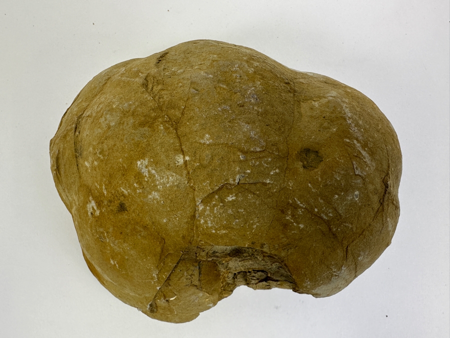 Septarian Geode 6.5W [Photo 8]