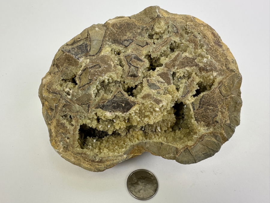 Septarian Geode 6.5W [Photo 2]