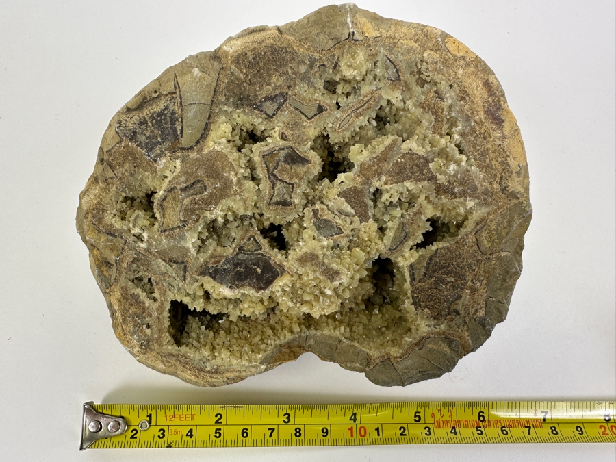 Septarian Geode 6.5W [Photo 5]