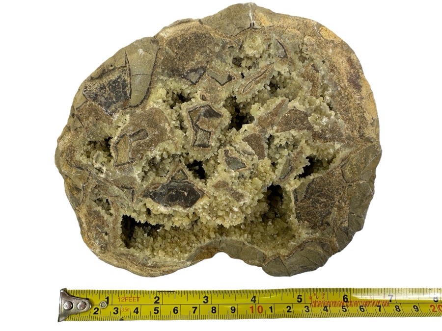 Septarian Geode 6.5W [Photo 1]